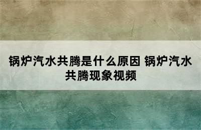 锅炉汽水共腾是什么原因 锅炉汽水共腾现象视频